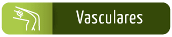 servivios vasculares