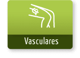 servivios vasculares